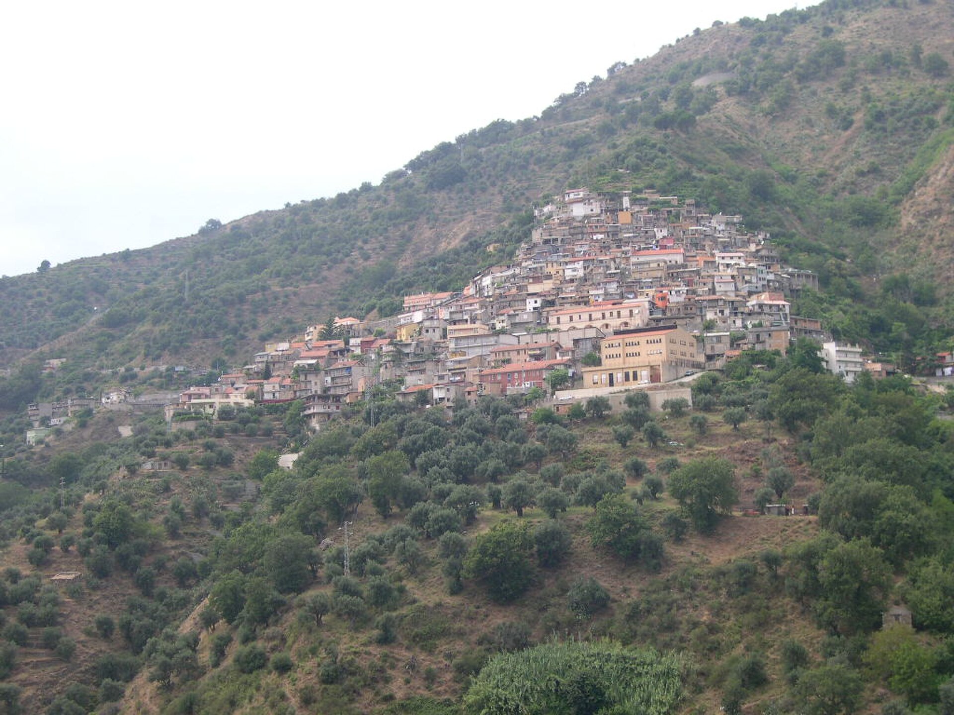 Cardeto